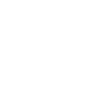Birdworx